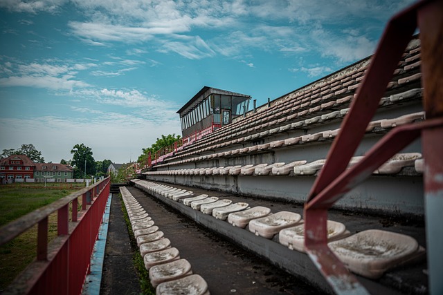 入新的活力 入新的活力