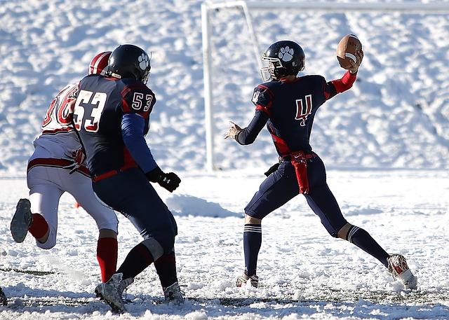 术和丰富的 术和丰富的