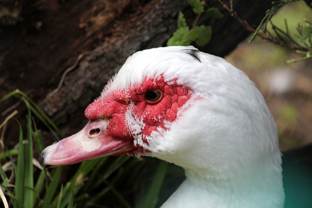 幽默来面对 幽默来面对