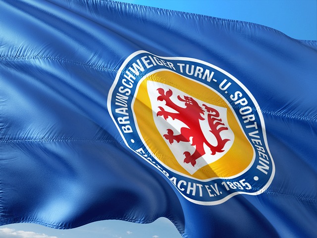 团队篮球的 团队篮球的