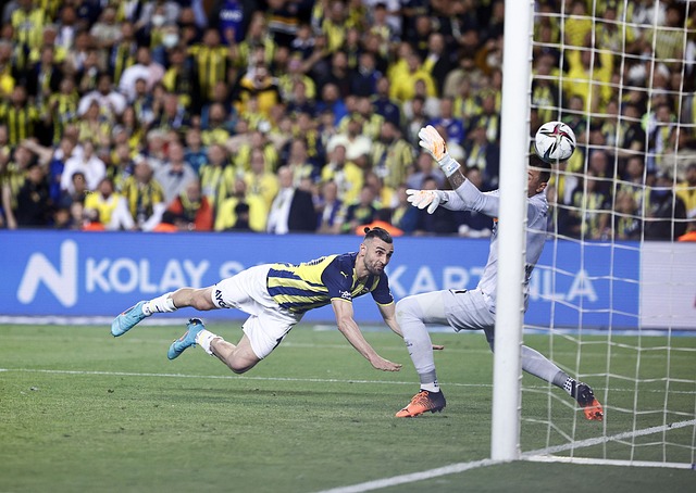 来向更高水 来向更高水