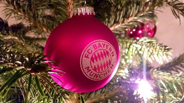 了新的生存 了新的生存