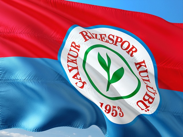 羽超总决赛周末开战 本报记者快访明星球员.